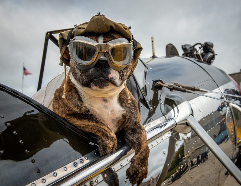 About Us Poplar Grove Vintage Wings & Wheels Museum